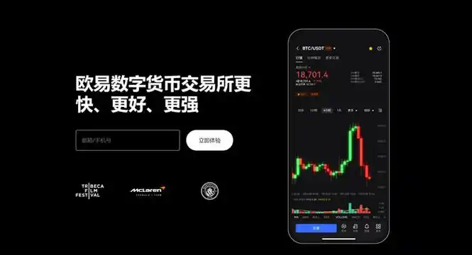 欧一钱包下载页面展示